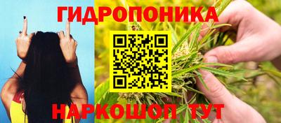 ГАЛЛЮЦИНОГЕННЫЕ ГРИБЫ Дубна