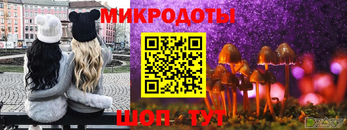 Галлюциногенные грибы прущие грибы  Вход с VPN  Зима 