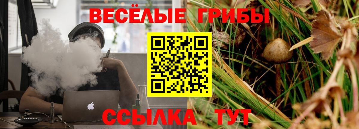 Галлюциногенные грибы Psilocybine cubensis Зима