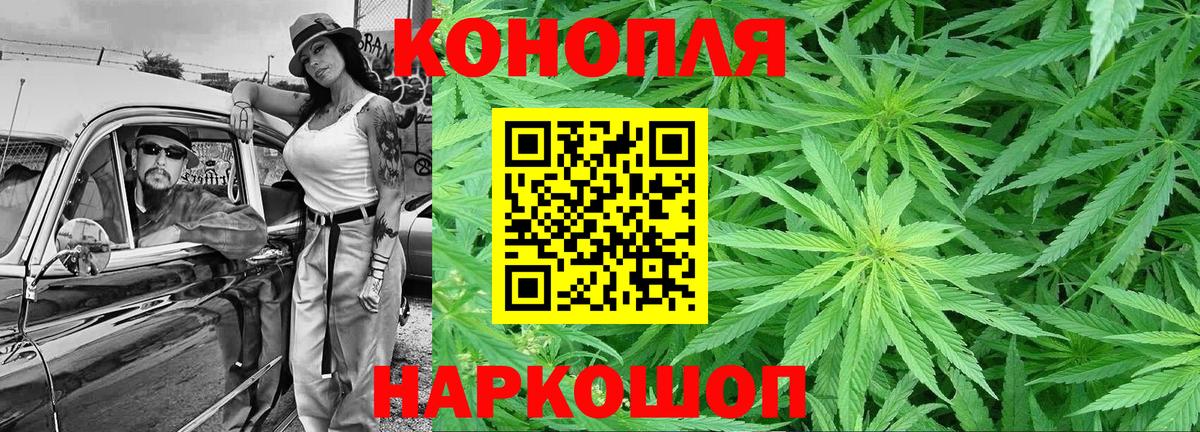 Зима  Марихуана Ganja  Вход с VPN  Шишки марихуана сатива  Канабис индика 